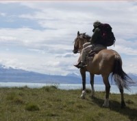 Horseback Riding
